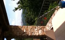 Photo submitted by guest of Compignano West