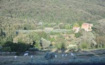 Photo submitted by guest of Montescalari