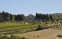 Photo submitted by guest of Contessa di Gaiole