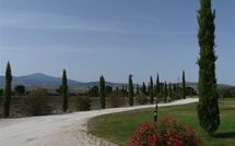 Photo submitted by guest of Casali Dell Osteria