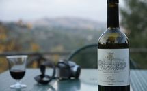 Photo submitted by guest of Torre del Cielo