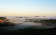 Photo submitted by guest of Podere Cunina