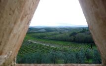 Photo submitted by guest of Borgo Tollena