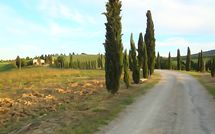 Photo submitted by guest of Borgo Tollena