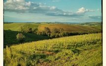 Photo submitted by guest of Villa San Filippo