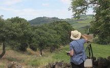 Photo submitted by guest of Fonte All'Oppio