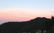 Photo submitted by guest of Al Mennucci