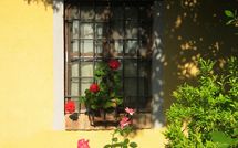 Photo submitted by guest of Limoni