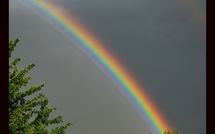 Photo submitted by guest of Limoni