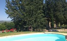 Photo submitted by guest of La Chiesina di Vittorio