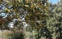 Photo submitted by guest of Casa Felice