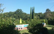 Photo submitted by guest of Il Quadrifoglio