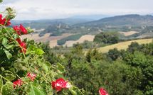 Photo submitted by guest of La Chiesina di Vittorio