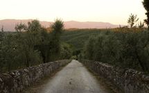 Photo submitted by guest of Collina