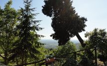 Photo submitted by guest of Borgo del Castagno