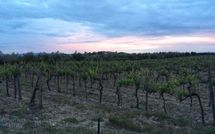 Photo submitted by guest of Agriturismo la Papessa