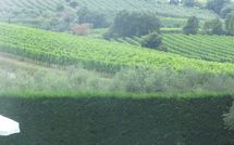 Photo submitted by guest of Villa San Filippo