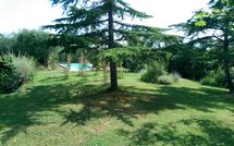 Photo submitted by guest of Casa Cipressi