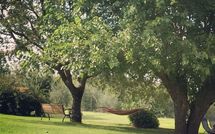 Photo submitted by guest of La Puzzola