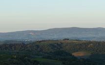 Photo submitted by guest of Casa Lucia