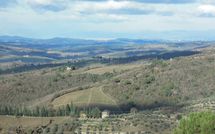 Photo submitted by guest of Casa Allinuzza