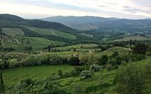 Photo submitted by guest of La Chiantigiana