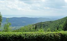 Photo submitted by guest of Casa Cristina