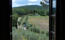 Photo submitted by guest of Filigare