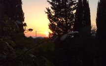 Photo submitted by guest of Casa Cipressi