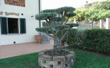 Photo submitted by guest of Antico Fienile