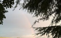 Photo submitted by guest of Casa Rossa