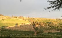 Photo submitted by guest of Casa Rossa