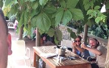 Photo submitted by guest of Barberino