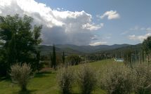 Photo submitted by guest of Poggiodoro and Tobacco Loft