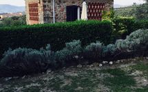 Photo submitted by guest of Isidoro