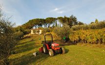 Photo submitted by guest of Casa Lucia