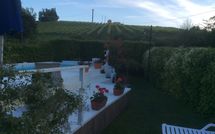 Photo submitted by guest of Il Fienile