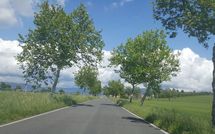 Photo submitted by guest of Casa Caldesi