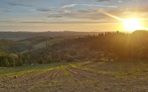 Photo submitted by guest of Casa Anna