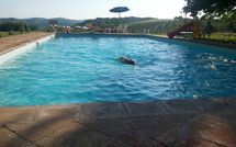 Photo submitted by guest of Vittoriana