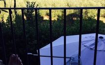 Photo submitted by guest of Casa Maria Luisa