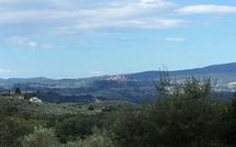 Photo submitted by guest of Villa Orchidea