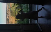 Photo submitted by guest of Villa di Montelopio