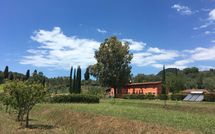 Photo submitted by guest of Al Valentino