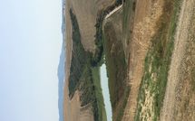 Photo submitted by guest of Agriturismo Il Gattero