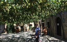 Photo submitted by guest of Villa Piazza della Fortezza