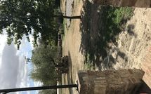 Photo submitted by guest of Pieve di Sant Ippolito