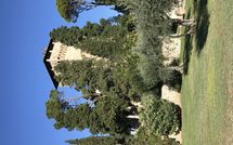 Photo submitted by guest of Rocca di Cetona