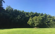 Photo submitted by guest of Alisso