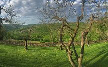 Photo submitted by guest of Casalta di Pesa